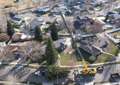 dacotah west crane photo gallery img